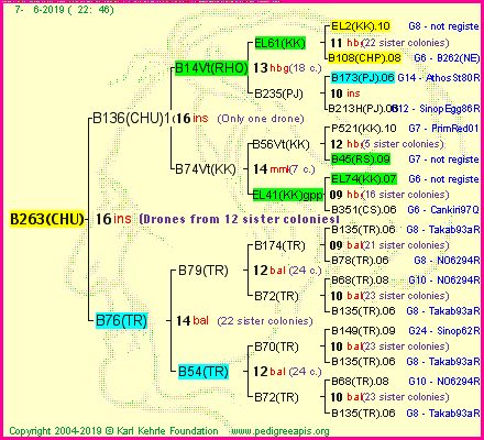 Pedigree of B263(CHU) :
four generations presented
it's temporarily unavailable, sorry!