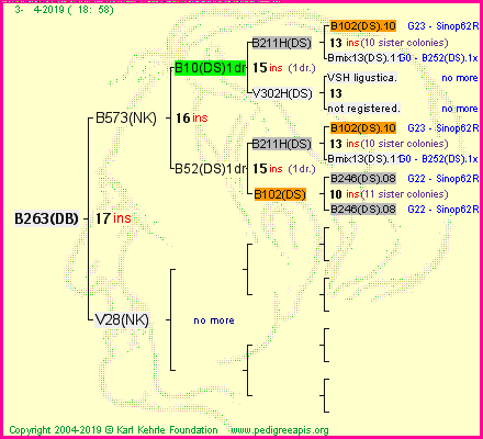 Pedigree of B263(DB) :
four generations presented
it's temporarily unavailable, sorry!