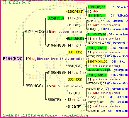 Pedigree of B264(HGS) :
four generations presented
it's temporarily unavailable, sorry!