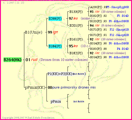 Pedigree of B264(HK) :
four generations presented