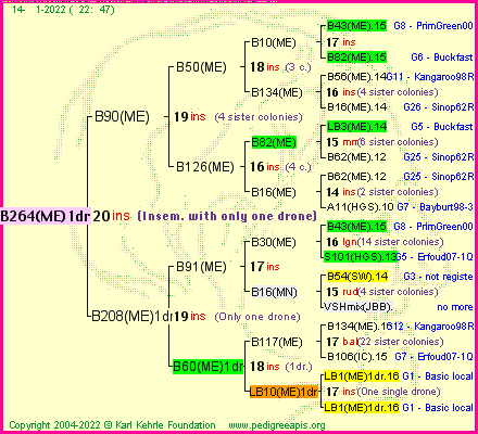 Pedigree of B264(ME)1dr :
four generations presented
it's temporarily unavailable, sorry!