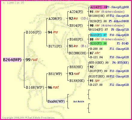 Pedigree of B264(WP) :
four generations presented
it's temporarily unavailable, sorry!