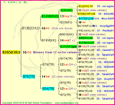 Pedigree of B265(CHU) :
four generations presented
it's temporarily unavailable, sorry!