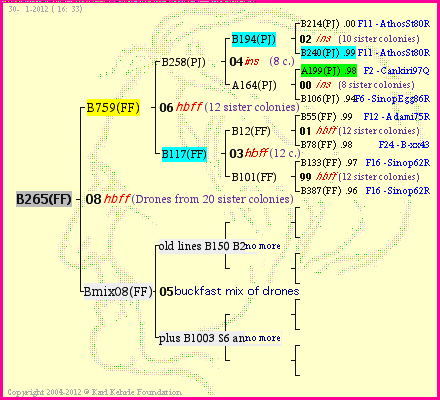 Pedigree of B265(FF) :
four generations presented