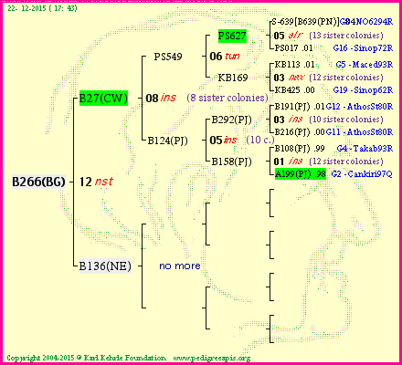 Pedigree of B266(BG) :
four generations presented