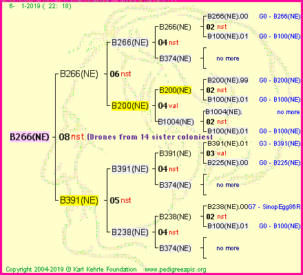 Pedigree of B266(NE) :
four generations presented<br />it's temporarily unavailable, sorry!