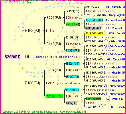 Pedigree of B266(PJ) :
four generations presented<br />it's temporarily unavailable, sorry!