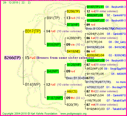 Pedigree of B266(TP) :
four generations presented
it's temporarily unavailable, sorry!