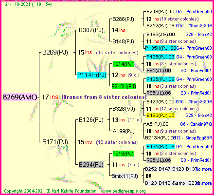 Pedigree of B269(AMC) :
four generations presented
it's temporarily unavailable, sorry!