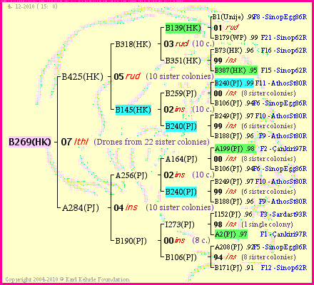 Pedigree of B269(HK) :
four generations presented