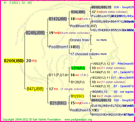 Pedigree of B269(JBB) :
four generations presented
it's temporarily unavailable, sorry!