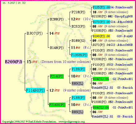 Pedigree of B269(PJ) :
four generations presented
it's temporarily unavailable, sorry!