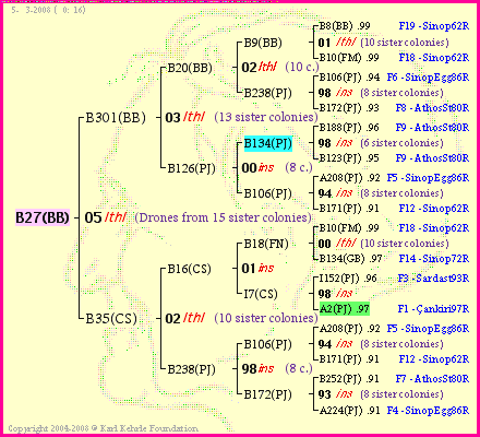 Pedigree of B27(BB) :
four generations presented