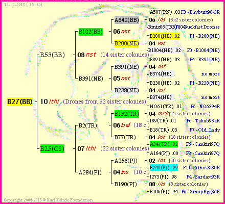 Pedigree of B27(BB) :
four generations presented