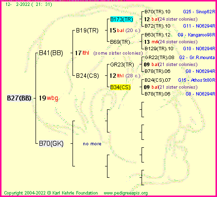 Pedigree of B27(BB) :
four generations presented
it's temporarily unavailable, sorry!