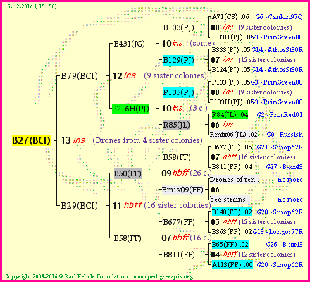 Pedigree of B27(BCI) :
four generations presented