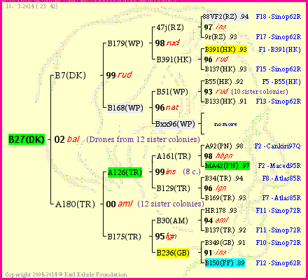 Pedigree of B27(DK) :
four generations presented