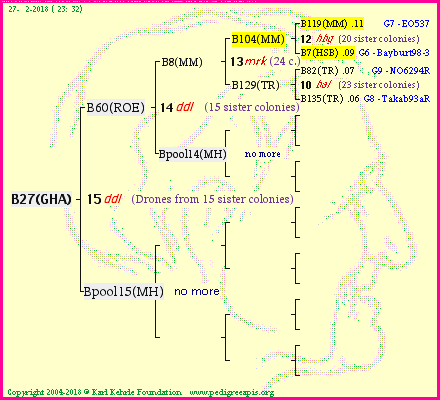 Pedigree of B27(GHA) :
four generations presented<br />it's temporarily unavailable, sorry!