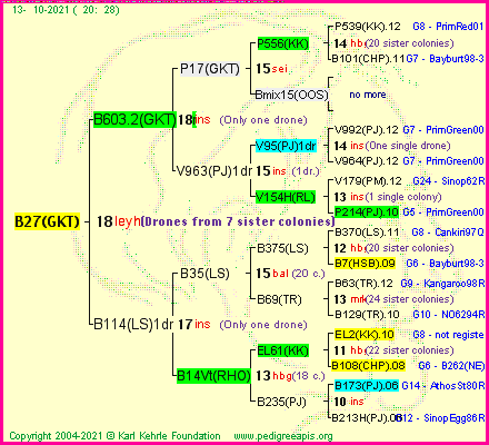 Pedigree of B27(GKT) :
four generations presented
it's temporarily unavailable, sorry!