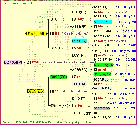 Pedigree of B27(GRP) :
four generations presented
it's temporarily unavailable, sorry!