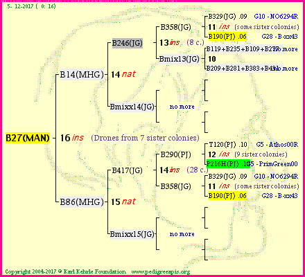 Pedigree of B27(MAN) :
four generations presented<br />it's temporarily unavailable, sorry!