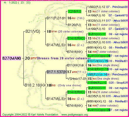 Pedigree of B27(MAN) :
four generations presented
it's temporarily unavailable, sorry!