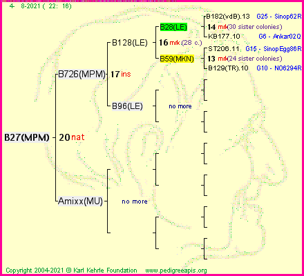 Pedigree of B27(MPM) :
four generations presented
it's temporarily unavailable, sorry!