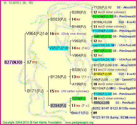 Pedigree of B27(NJO) :
four generations presented<br />it's temporarily unavailable, sorry!