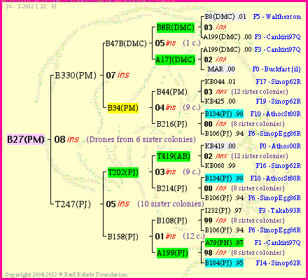 Pedigree of B27(PM) :
four generations presented