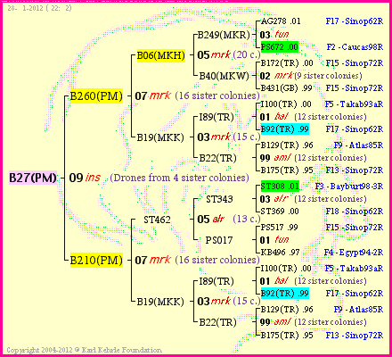 Pedigree of B27(PM) :
four generations presented