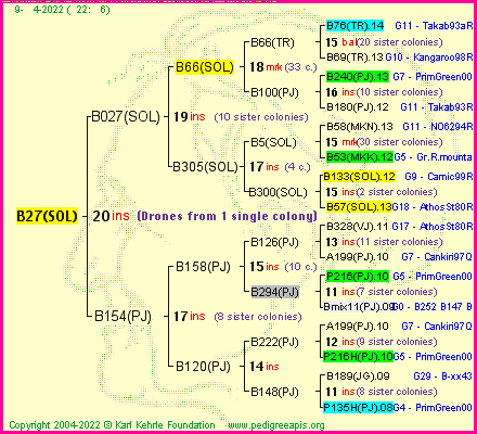 Pedigree of B27(SOL) :
four generations presented
it's temporarily unavailable, sorry!