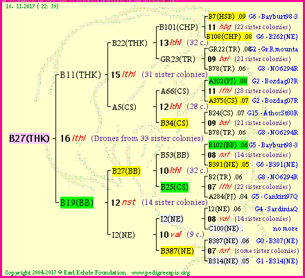 Pedigree of B27(THK) :
four generations presented
it's temporarily unavailable, sorry!