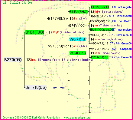 Pedigree of B270(DS) :
four generations presented
it's temporarily unavailable, sorry!