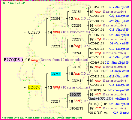 Pedigree of B270(DSJ) :
four generations presented
it's temporarily unavailable, sorry!