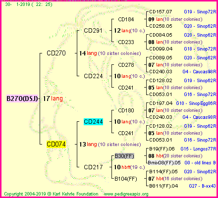 Pedigree of B270(DSJ) :
four generations presented<br />it's temporarily unavailable, sorry!