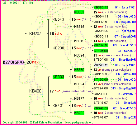 Pedigree of B270(GRA) :
four generations presented
it's temporarily unavailable, sorry!