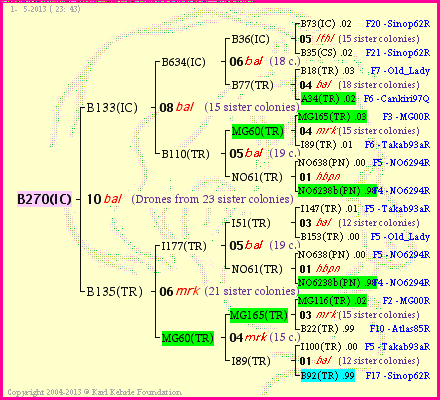 Pedigree of B270(IC) :
four generations presented