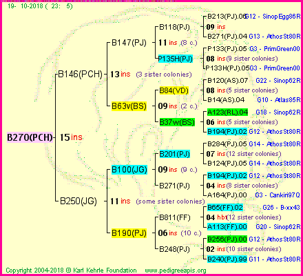 Pedigree of B270(PCH) :
four generations presented<br />it's temporarily unavailable, sorry!