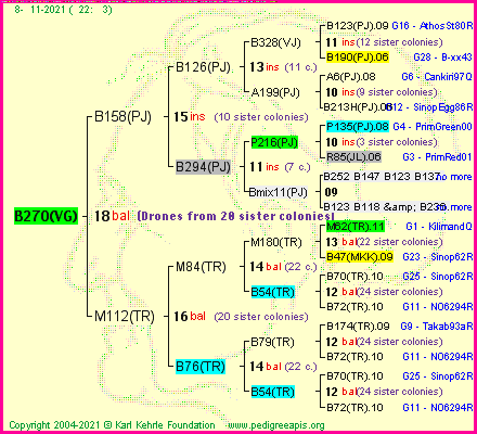 Pedigree of B270(VG) :
four generations presented
it's temporarily unavailable, sorry!