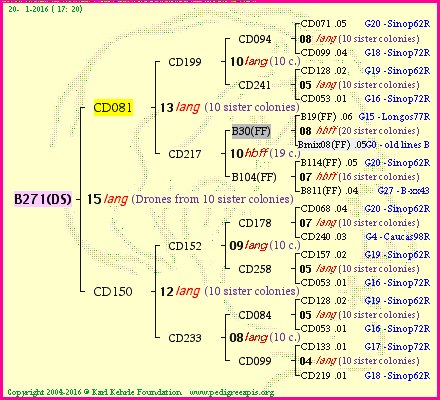 Pedigree of B271(DS) :
four generations presented