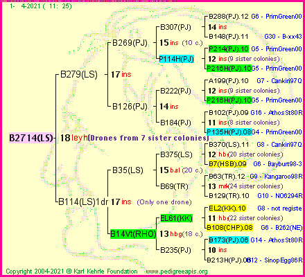 Pedigree of B2714(LS) :
four generations presented
it's temporarily unavailable, sorry!