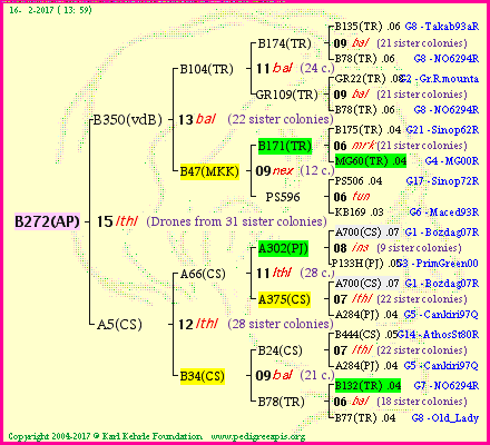 Pedigree of B272(AP) :
four generations presented