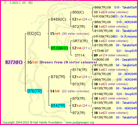 Pedigree of B272(IC) :
four generations presented
it's temporarily unavailable, sorry!