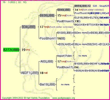 Pedigree of B272(JBB) :
four generations presented
it's temporarily unavailable, sorry!