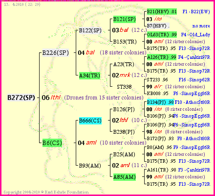 Pedigree of B272(SP) :
four generations presented