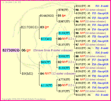 Pedigree of B273(HGS) :
four generations presented