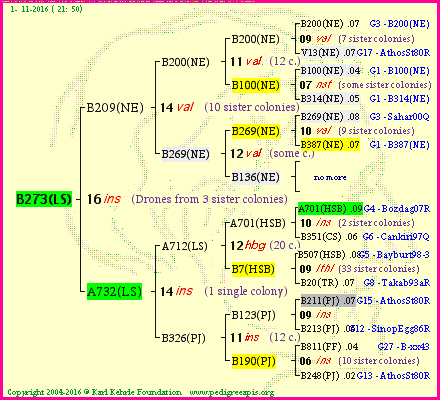 Pedigree of B273(LS) :
four generations presented<br />it's temporarily unavailable, sorry!