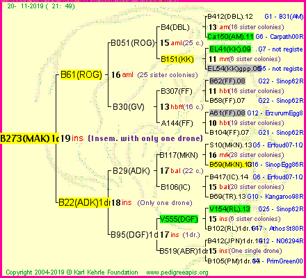 Pedigree of B273(MAK)1dr :
four generations presented<br />it's temporarily unavailable, sorry!