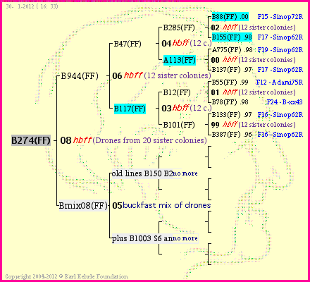 Pedigree of B274(FF) :
four generations presented