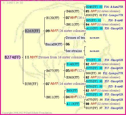 Pedigree of B274(FF) :
four generations presented